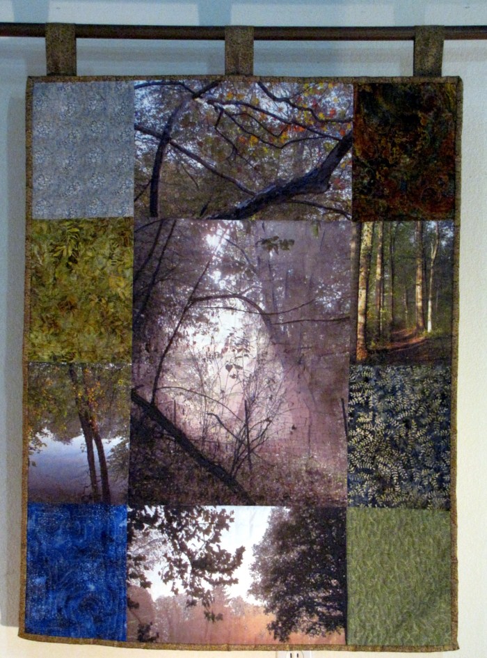 Web 2014 Mosaic Burlington Woods IMG_0387